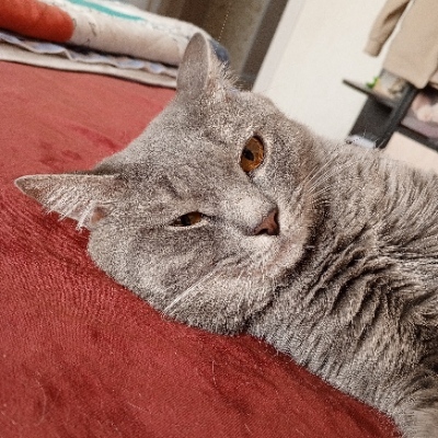 CocoaTheOne's avatar