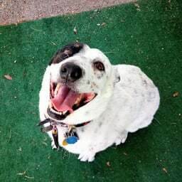 HopePunkFTW's avatar