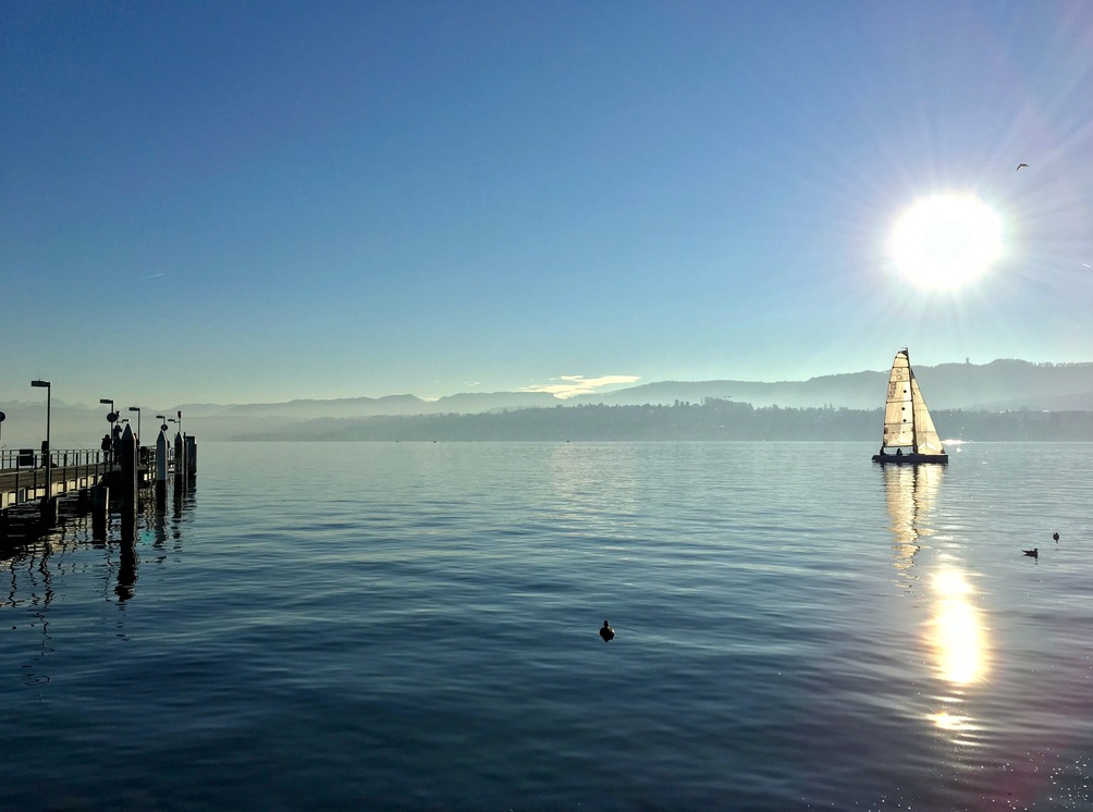 nblr's profile header