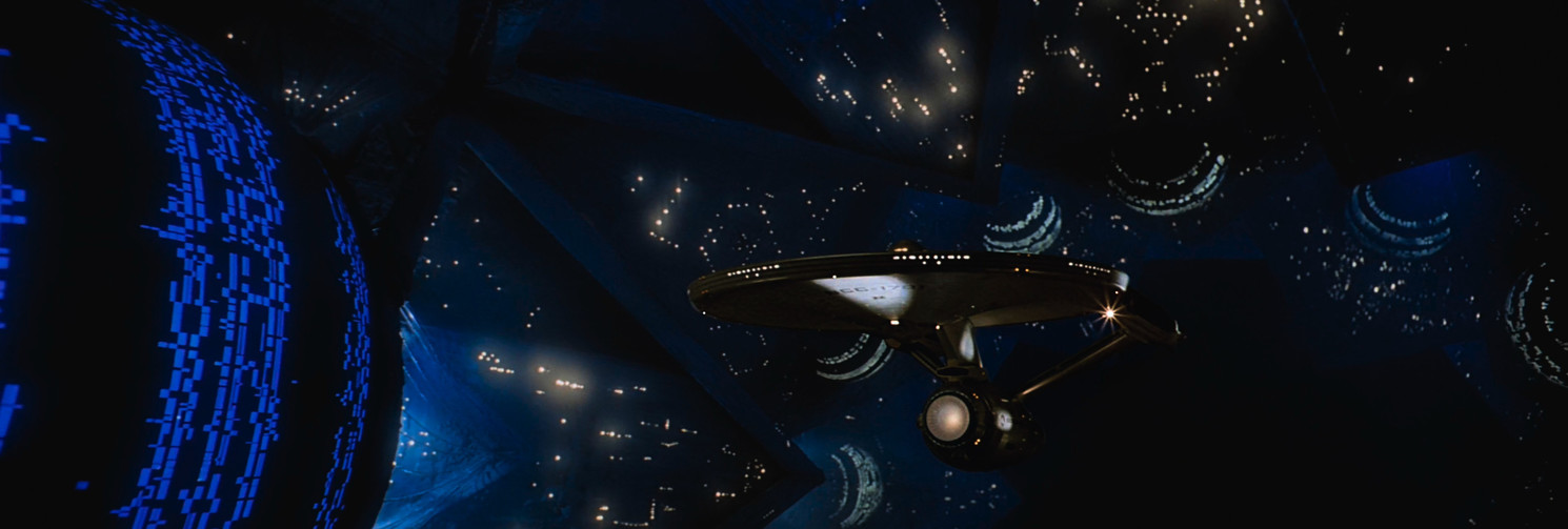 dolari's profile header