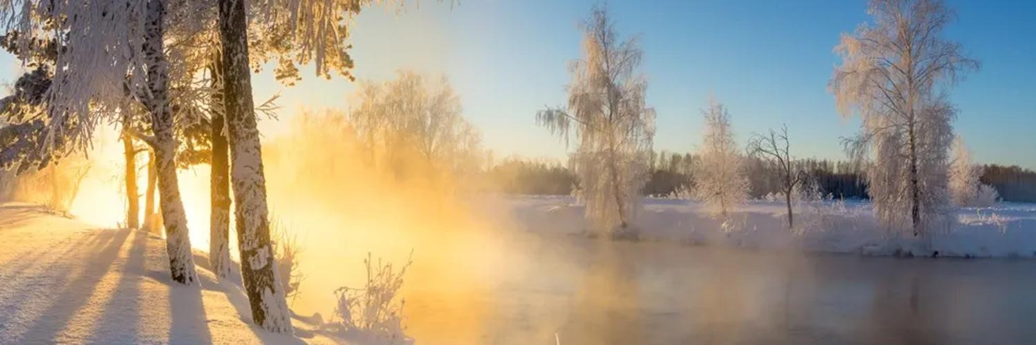 rexsin's profile header