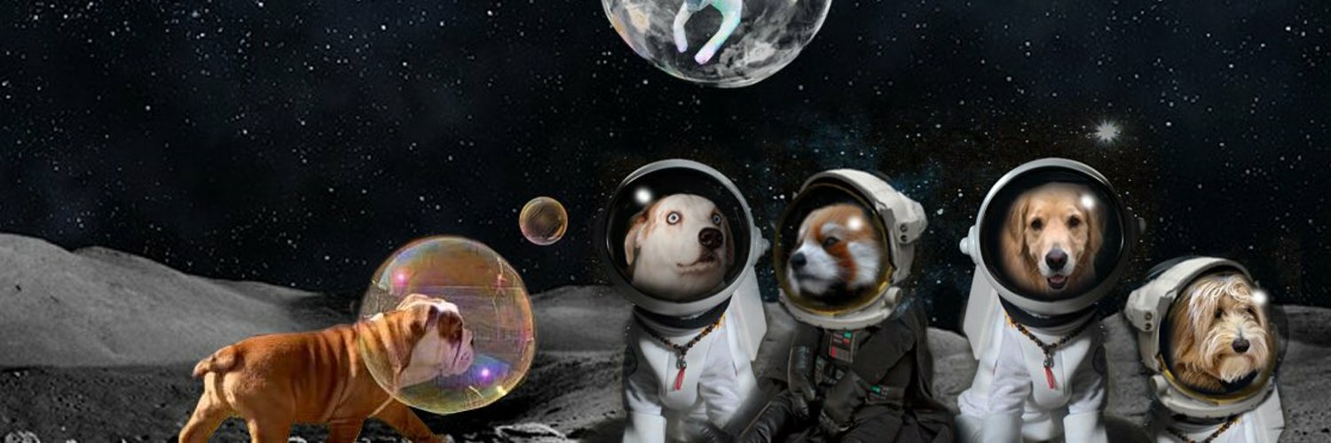 mcnees's profile header