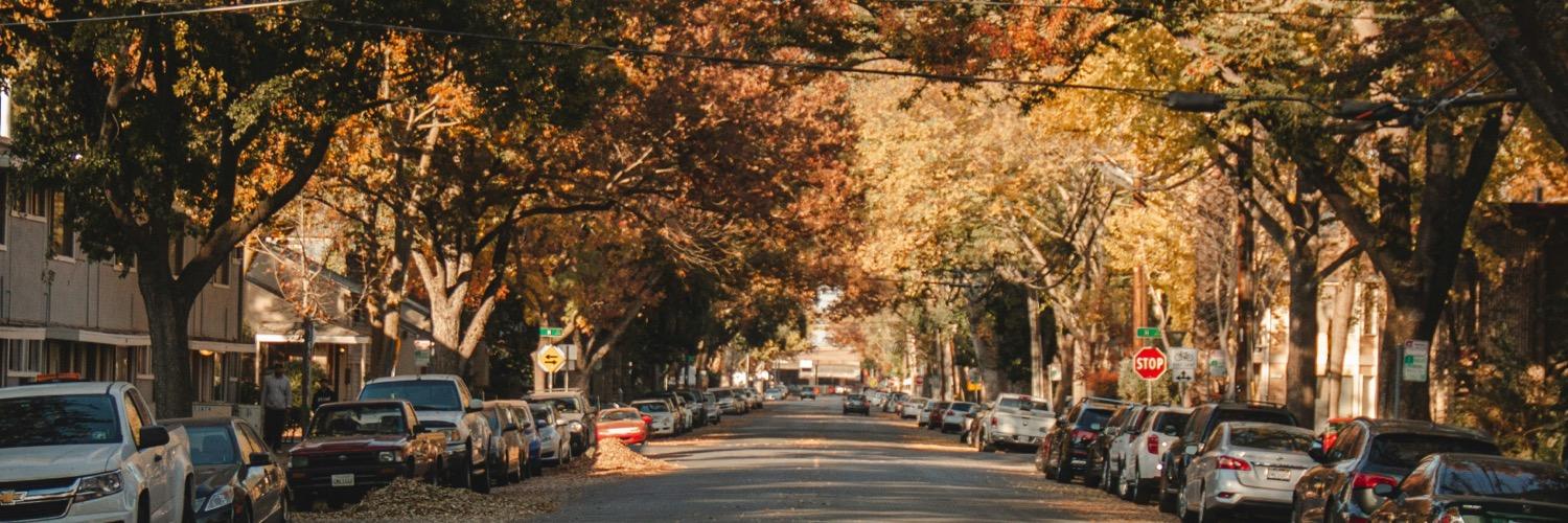 danirabbit's profile header