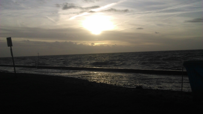 genominc's profile header