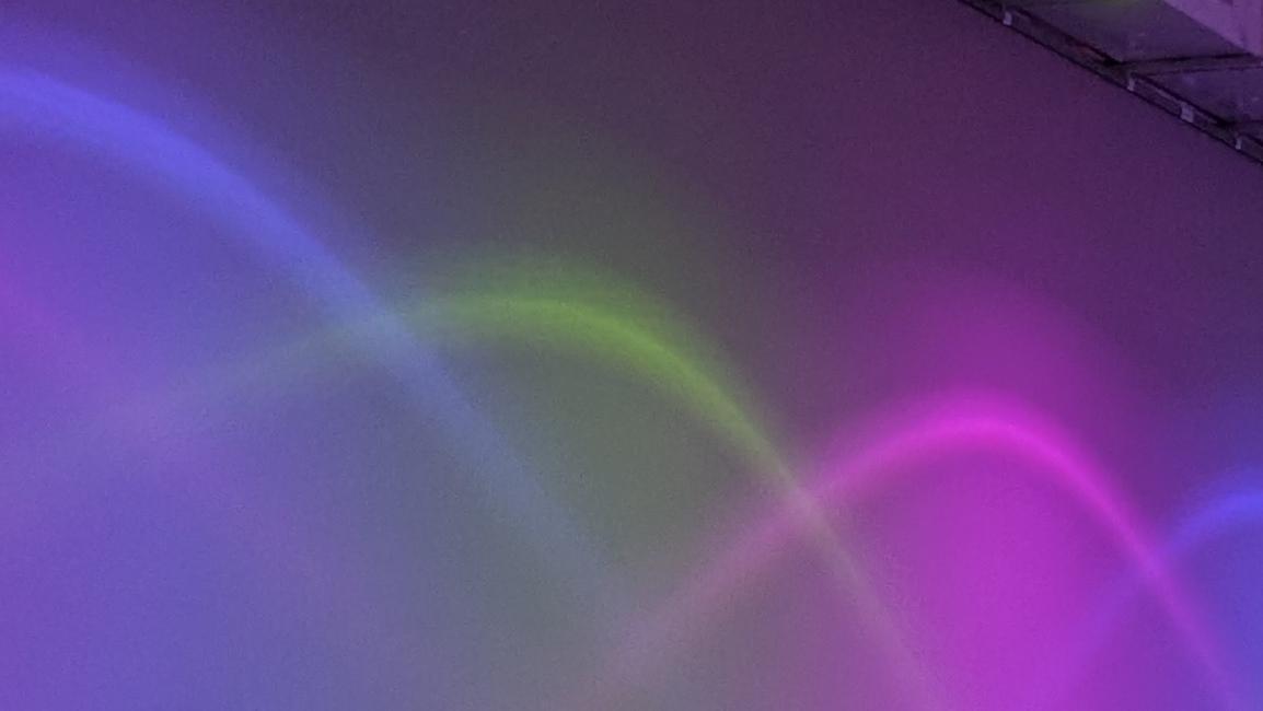 murderveggie's profile header