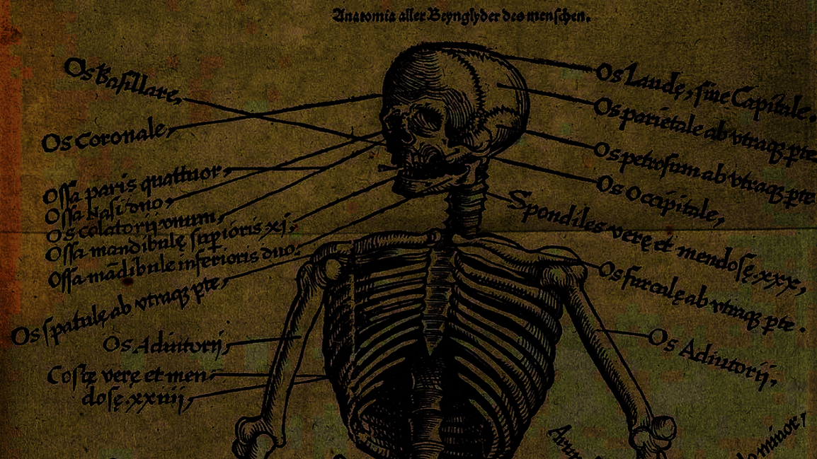 Taffer's profile header