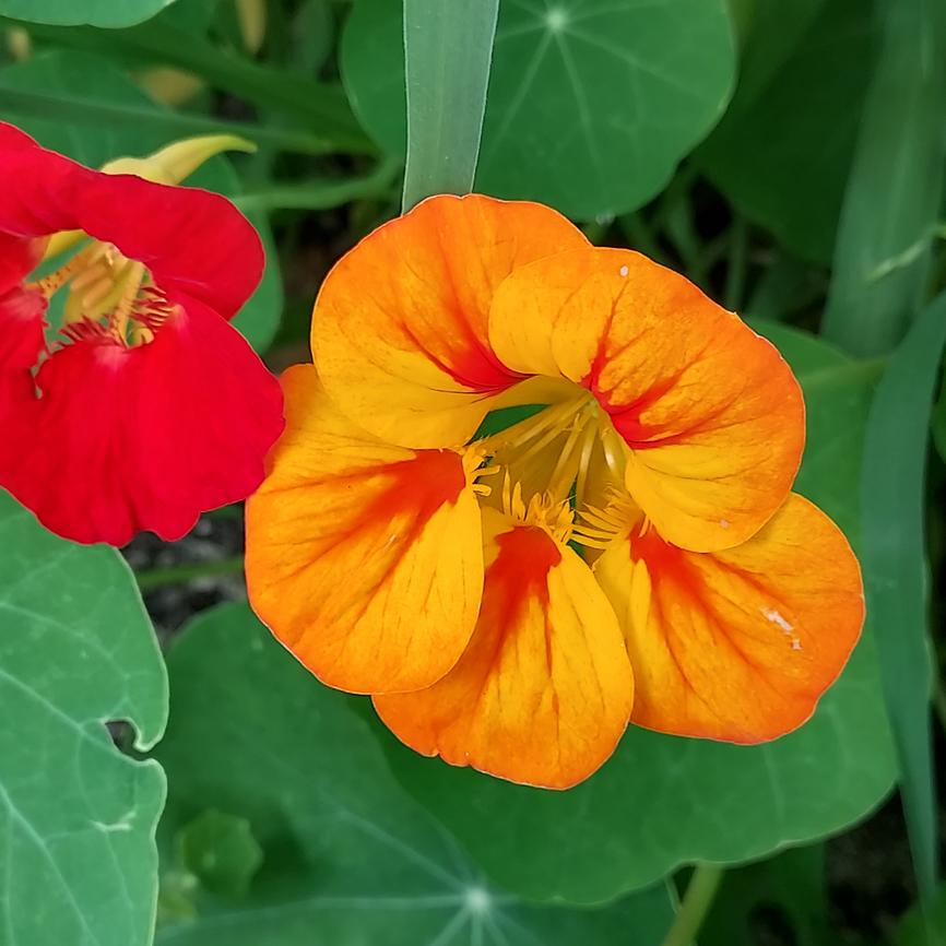 earthmothering9's profile header