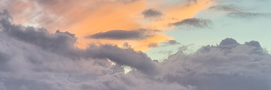 tonroosendaal's profile header