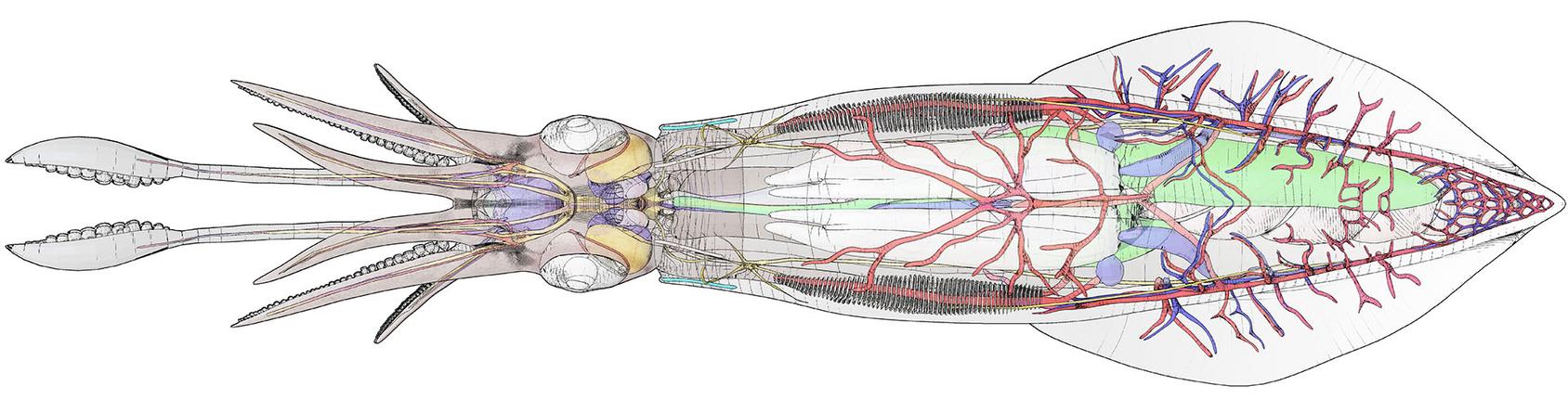 miekeroth's profile header