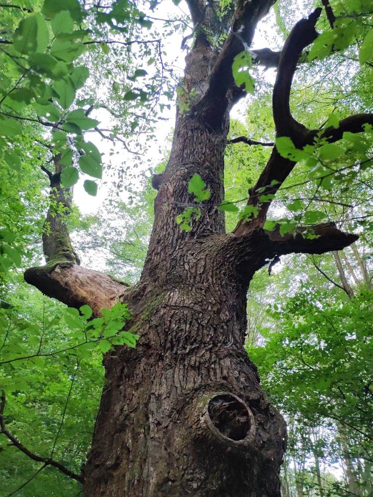 readyandnot's profile header