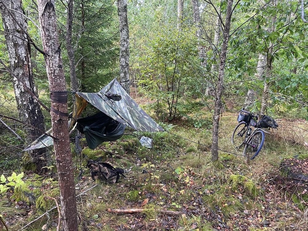 Philsturgeon's profile header