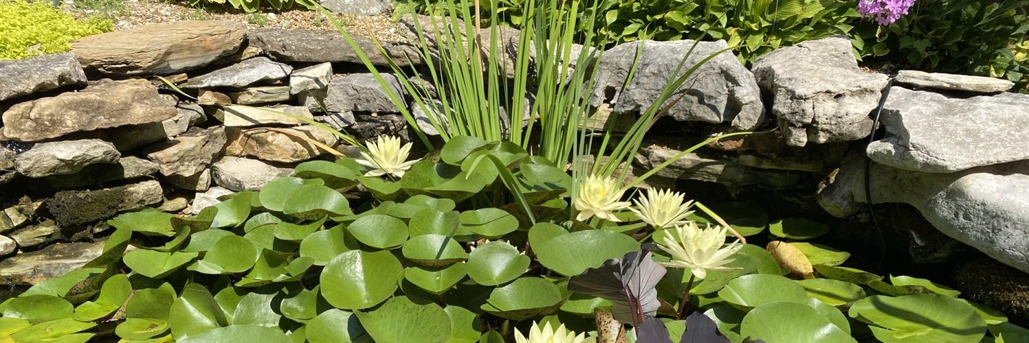 moelassus's profile header