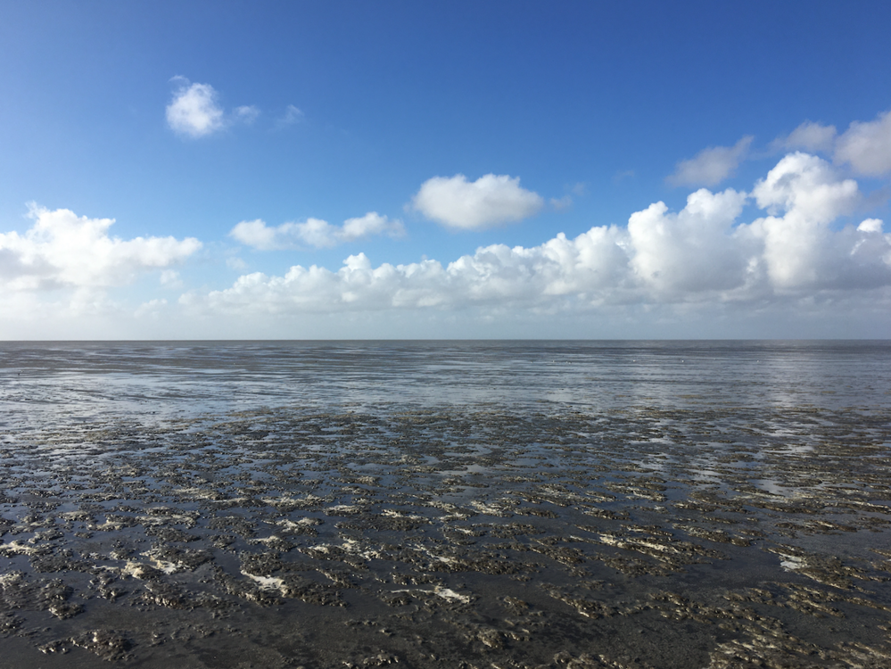 HeyeBodo's profile header