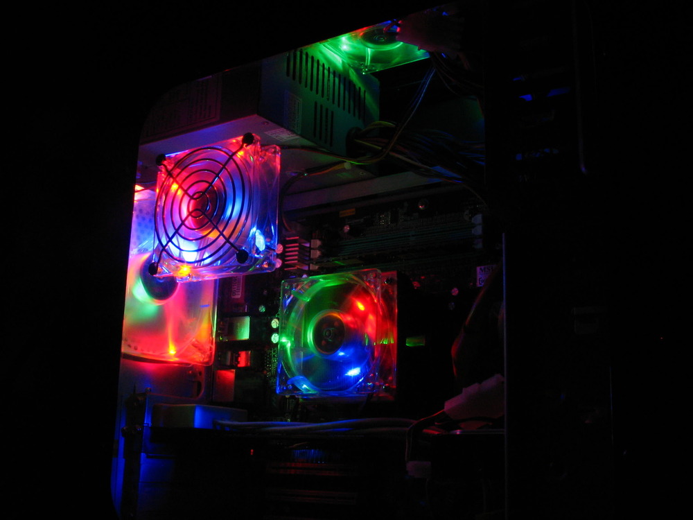 VileLasagna's profile header