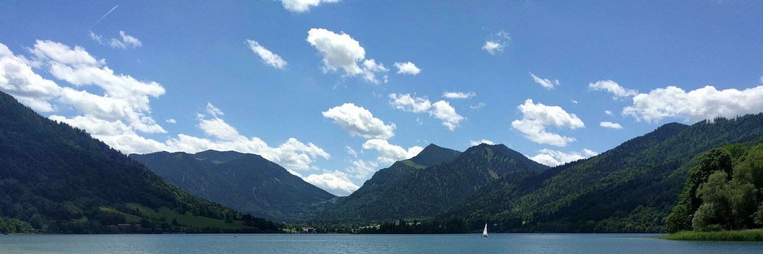 honze_net's profile header