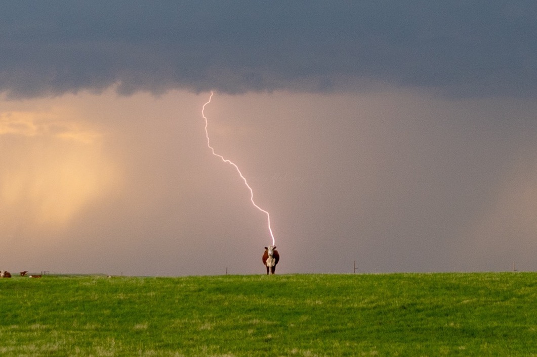 chadloder's profile header