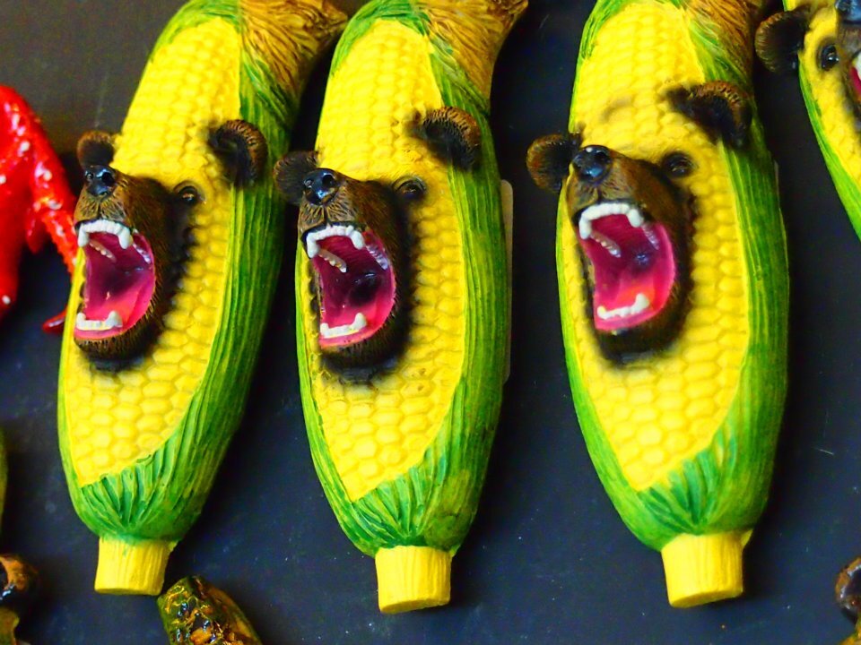 chmod777's profile header