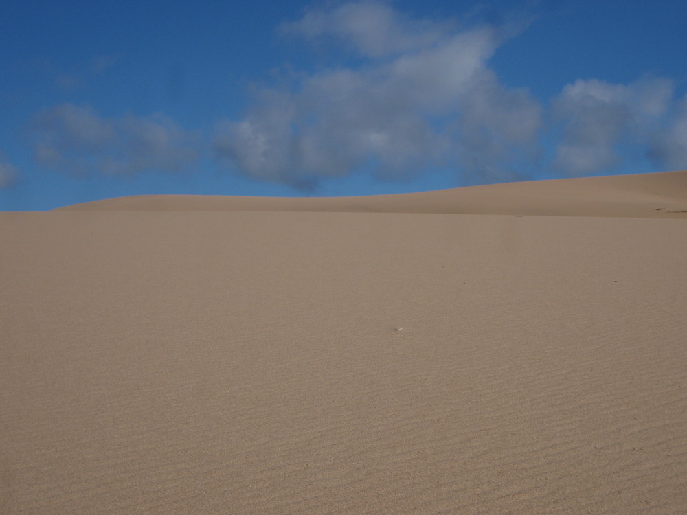 mike_malaska's profile header