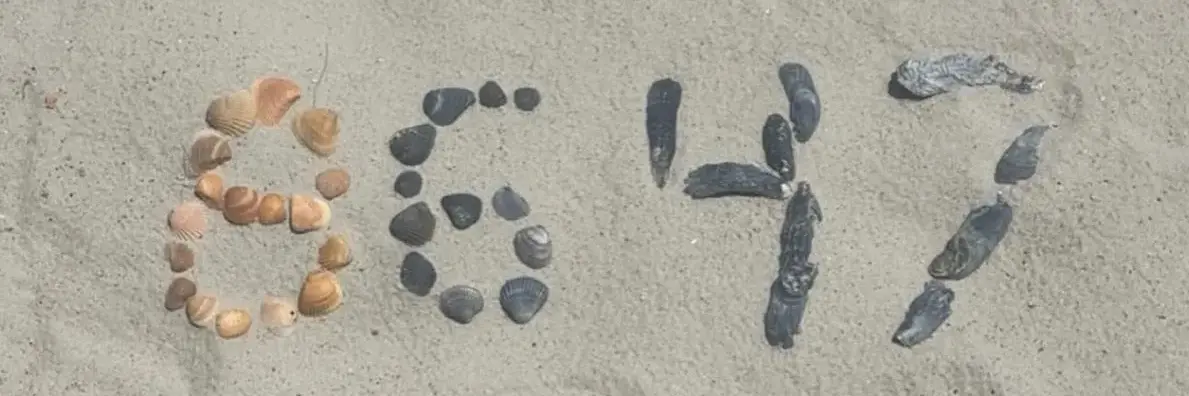 jik's profile header