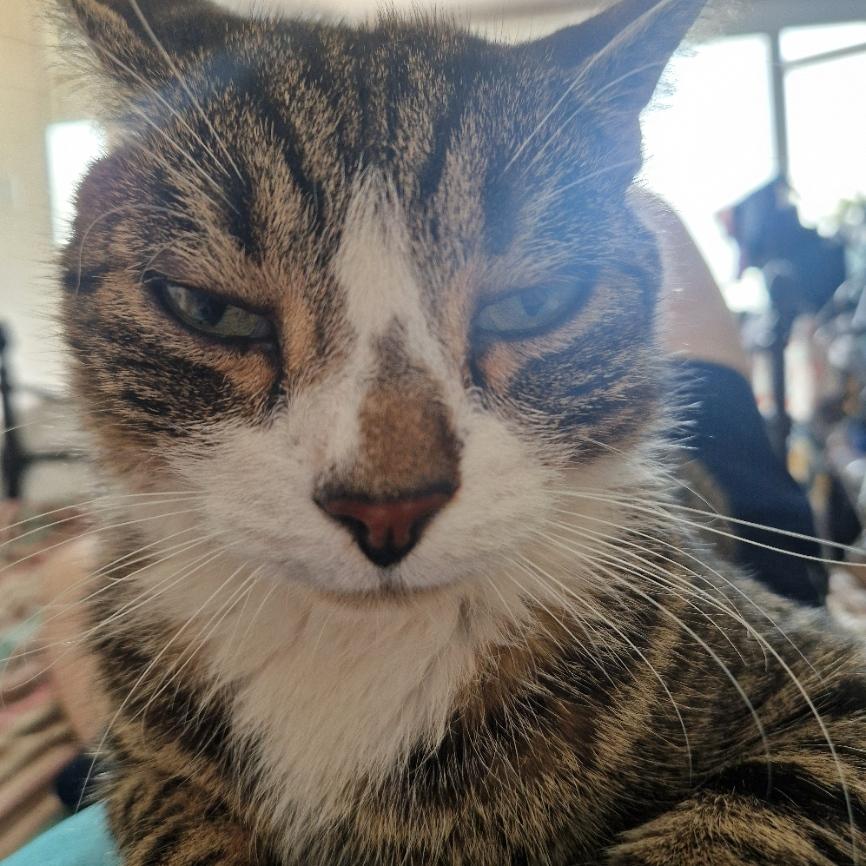 Garwboy's profile header