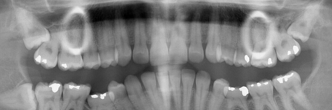 warkittens's profile header