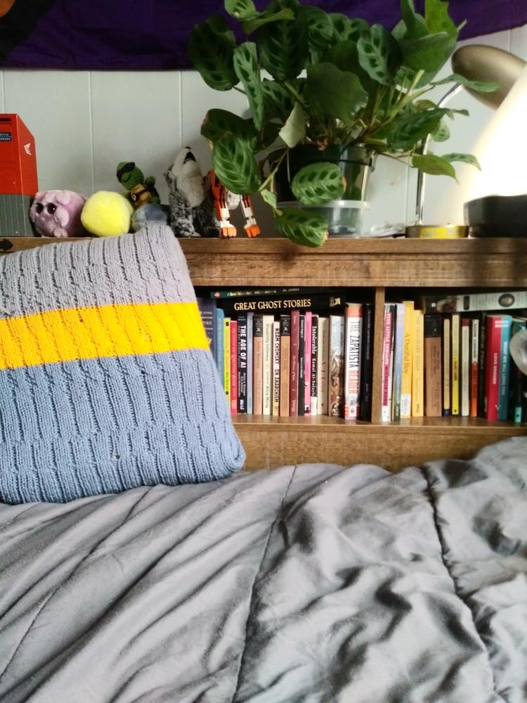 quietmarc's profile header