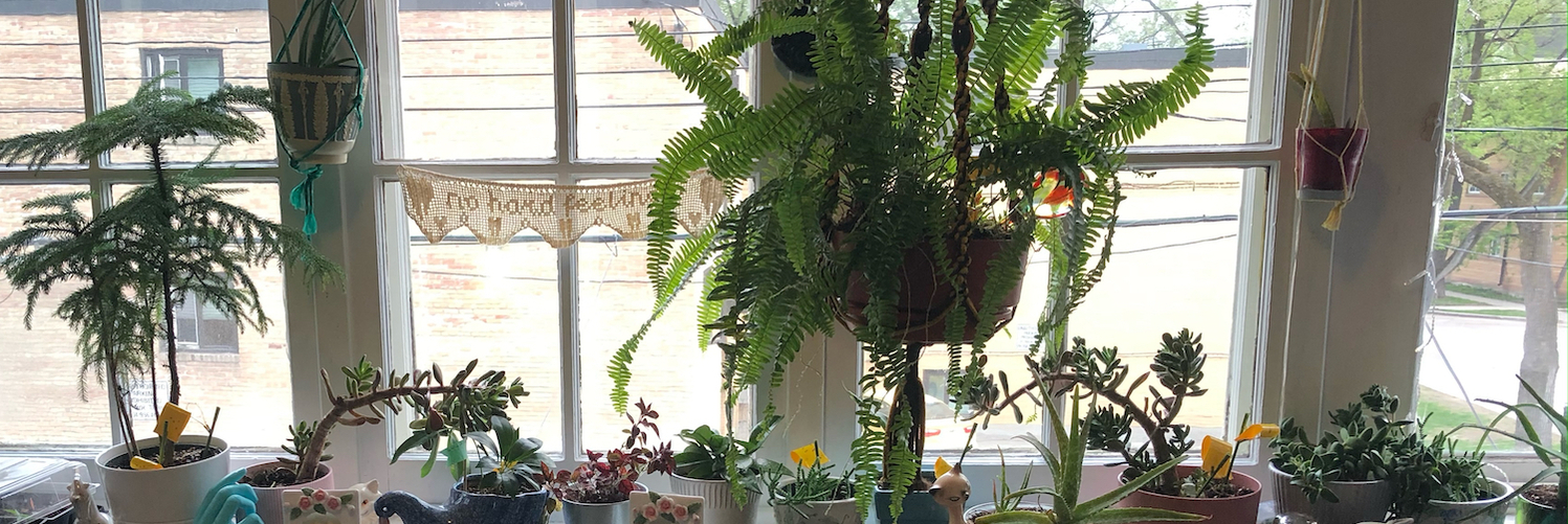 forestine's profile header