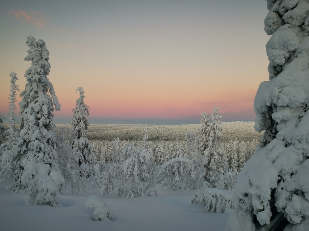 weit_im_westen's profile header