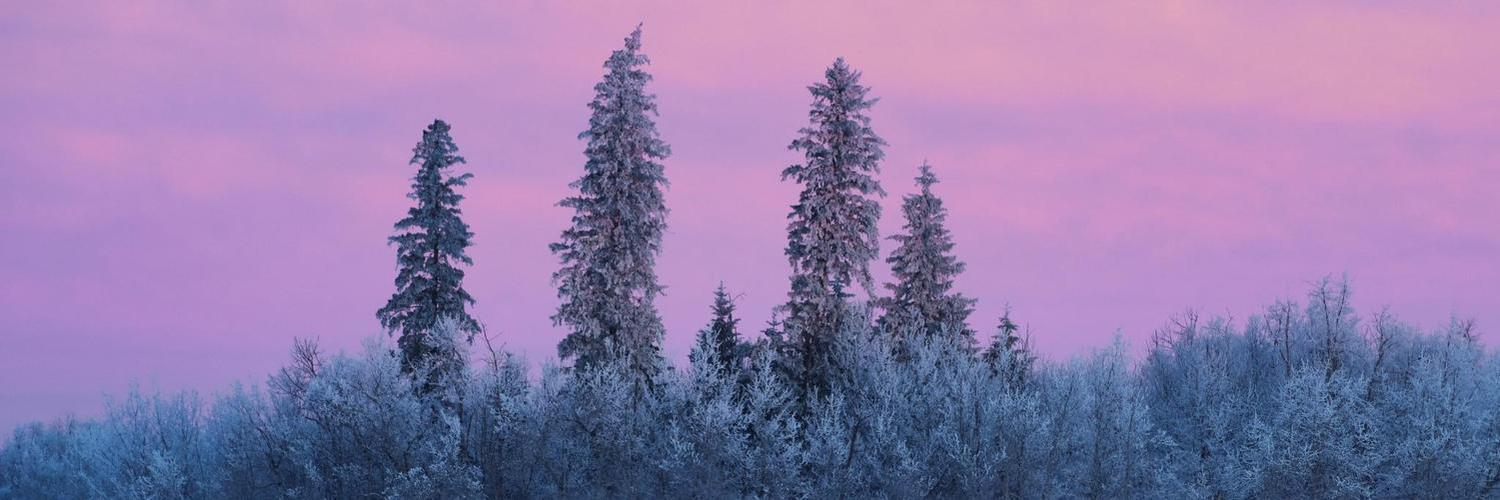 sgt1372's profile header