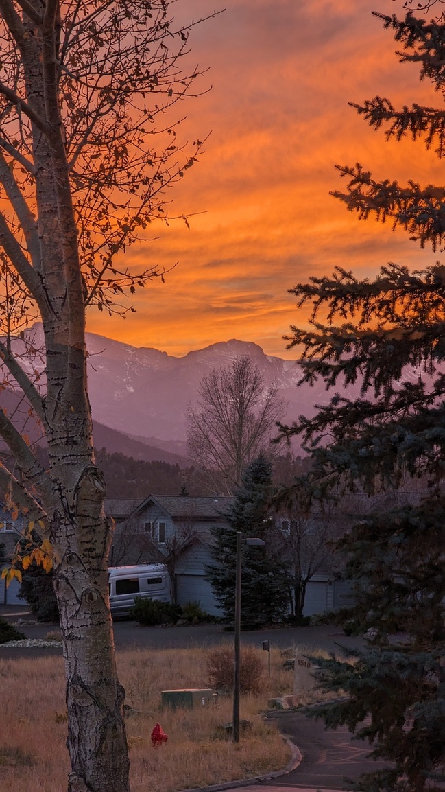 tmstreet's profile header