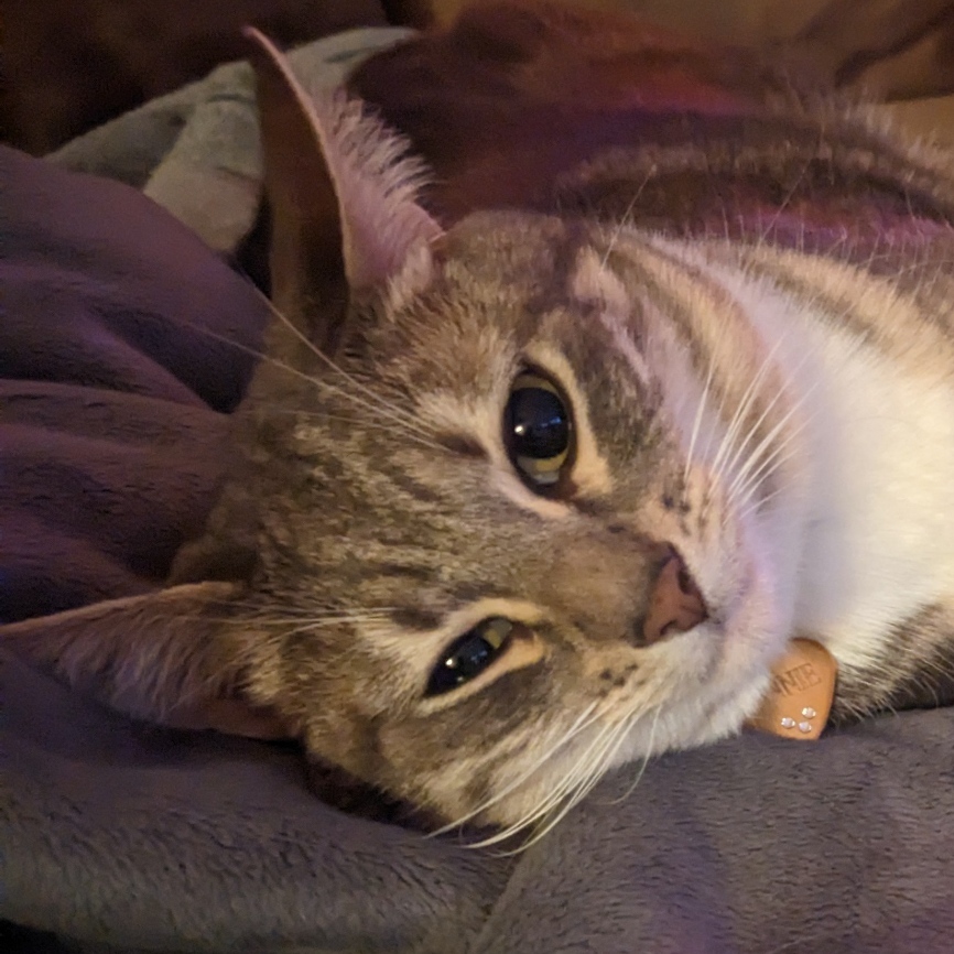 RnDanger's profile header