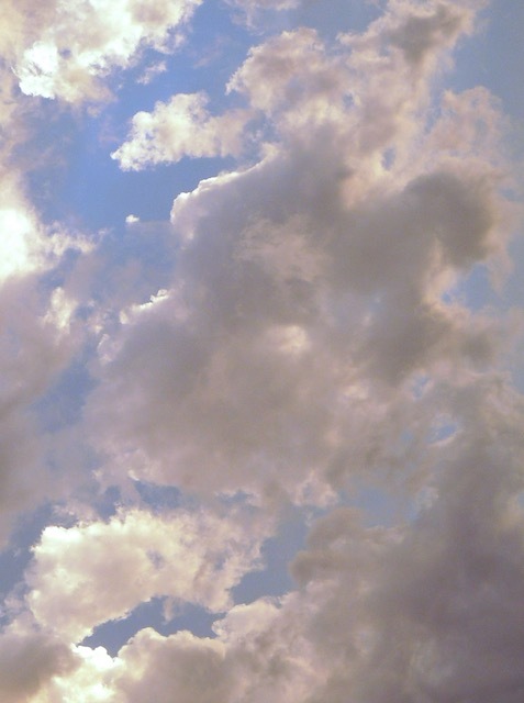 dasparky's profile header