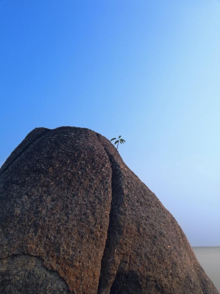 Trollhaus's profile header