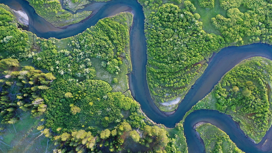 GregCocks's profile header