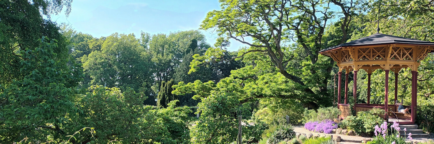 mrundkvist's profile header