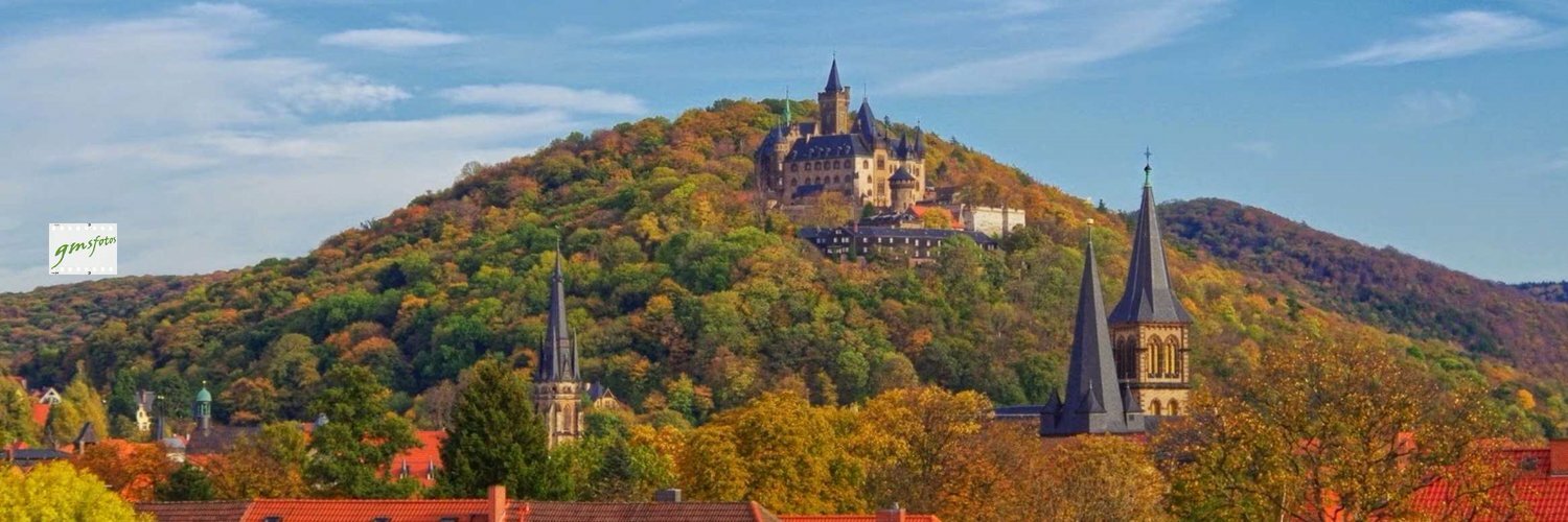 gmsfotos's profile header