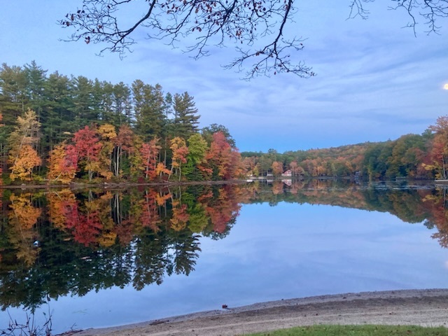 FluffyCowBird's profile header