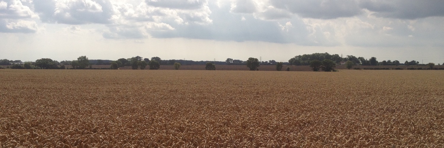 kicking_k's profile header