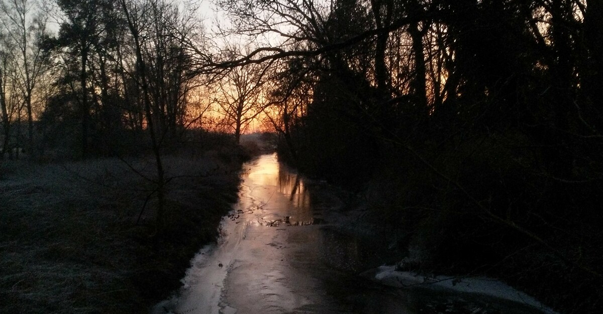 flyIng's profile header