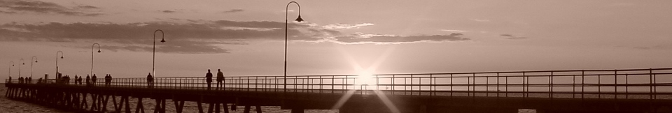 arcadiagt5's profile header