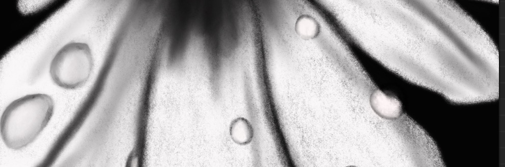 PauliJllo's profile header