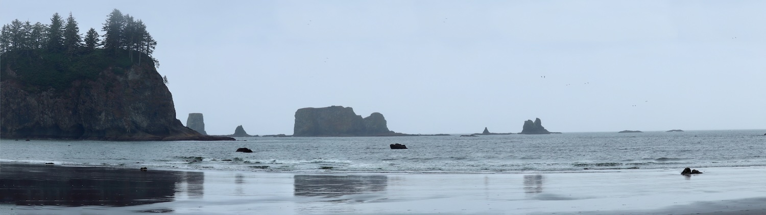 pzmyers's profile header