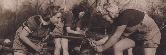 unrulywarbirds's profile header