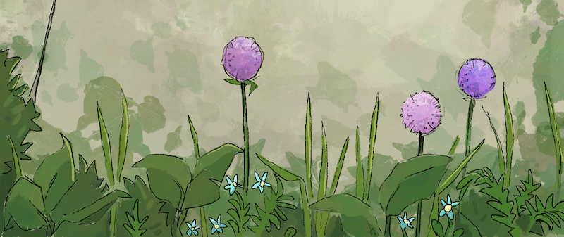 ZebraFeatherAH's profile header