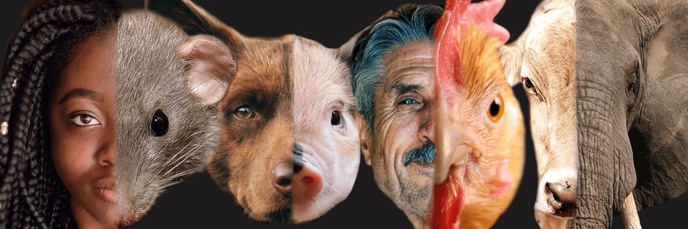 VeroniqueB99's profile header