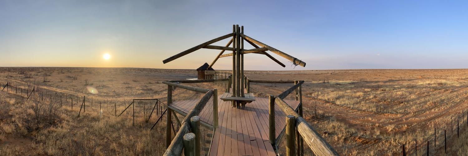 bigz's profile header