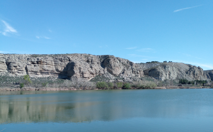 Kitty's profile header