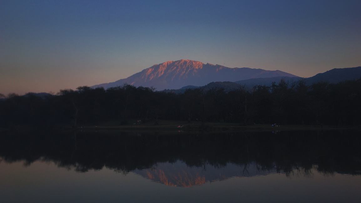 amirdraws's profile header