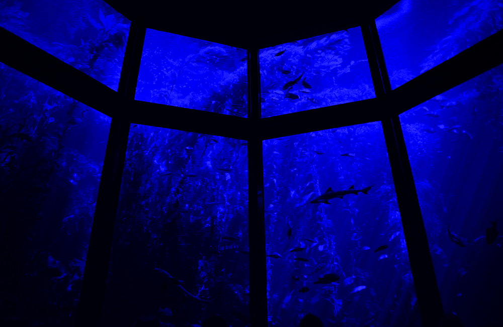 legacv's profile header