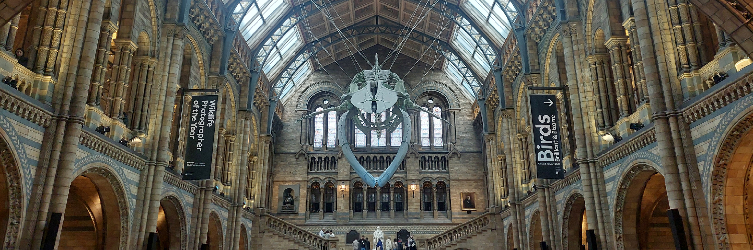 miffyhelen's profile header